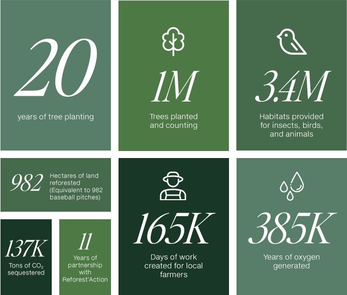 image of info graphic